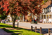  Duke of Gloucester Street at the Colonial Willliamsburg Living History Museum in Williamsburg in the American Historic Triangle, James City County, Virginia, USA 