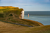 Beachy Head Lighthouse und der Kreidefelsen Beachy Head, Sussex, England, Großbritannien, Europa 