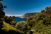Summer View of Hills in Monterosso, Cinque Terre, Italy