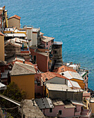 Summer View of buildings from above in Manarola, Cinque Terre, Italy