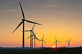 Windkrafträder im Abendlicht, Nordfriesland, Schleswig-Holstein, Deutschland