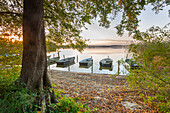  Boats on Lake Mechower, autumn, Mecklenburg-Vorpommern, Germany 
