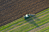 Trecker pflügt Feld im Sommer, Schleswig-Holstein, Deutschland