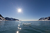 Mitternachtssonne und Eisberg im Magdalenefjord, Insel Spitzbergen, Grönlandsee, Norwegen, Skandinavien