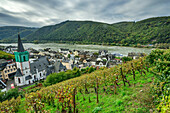 Assmannshausen über dem Rhein, Rheinsteig, UNESCO-Welterbe Oberes Mittelrheintal, Kulturlandschaft Oberes Mittelrheintal, Hessen, Deutschland