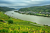  View of the Rhine and Trechtingshausen, from Georgs-Ruh, Rheinsteig, UNESCO World Heritage Upper Middle Rhine Valley, Upper Middle Rhine Valley Cultural Landscape, Hesse, Germany 