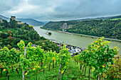 Blick auf Burg Gutenfels über Kaub und Burg Pfalzgrafenstein im Rhein, Rheinsteig, UNESCO-Welterbe Oberes Mittelrheintal, Kulturlandschaft Oberes Mittelrheintal, Rheinland-Pfalz, Deutschland