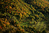  Autumnal forest and meadow landscape near Türkheim, Bad Üerbkingen, Löwenpfad, Göppingen district, Swabian Alb, Baden-Württemberg, Germany, Europe 