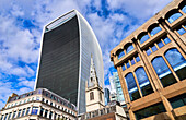 City of London, Sky Garden, St Margaret Pattens, Eastcheap, Buildings of the financial district, London, England, UK