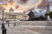 Lion Statue, Trafalgar Square with St. Martins in the Field, National Gallery, West End, London, England, UK