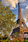 Eiffel tower. Paris. France.
