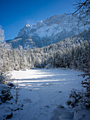 Frillensee at Eibsee, Zugspitze, Garmisch-Partenkirchen, Grainau, Werdenfelser Land, Upper Bavaria, Bavaria, Alps, Germany 