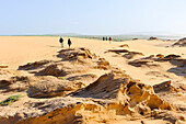 Dunes around Tamri on Atlantic Coast, between Agadir and Essaouira,Morocco,North Africa