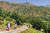 Berberfrauen am Feldweg in Berglandschaft, Oase Targa N'touchka, Provinz Chtouka Ait Baha, Region Souss-Massa, Antiatlas, Marokko, Nordafrika