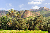 Palmenhain vor Berglandschaft, Oase Targa N'touchka, Provinz Chtouka Ait Baha, Region Souss-Massa, Antiatlas, Marokko, Nordafrika