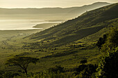  View of Ngorongoro Crater Tanzania, Tanzania, East Africa, Africa 