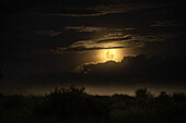  Moon, full moon, moonlight in the night sky over the Serengeti, Tanzania, East Africa, Africa 