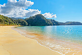 Sandy beach, Abel Tasman National Park, Nelson Region, South Island, New Zealand 
