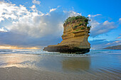 Rock formation shaped like a boot, Punakaiki, Paparoa National Park, South Island, New Zealand