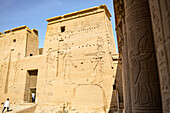Ancient Egyptian pillars and carvings inside Temple of Philae in Aswan