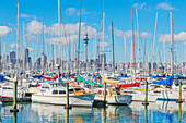 View of Auckland skyline from Westhaven Marina, Auckland, North Island, New Zealand