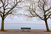 Waterfront with Bare Tree and Bench on Lake Neuchatel in Old Town in a Foggy Winter day in City of Neuchatel, Canton Neuchatel, Switzerland.