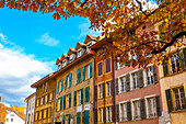 Beautiful Old Town with a Tree and Window in a Sunny Day in Autumn in Biel, Bienne, Bern Canton, Switzerland.