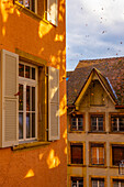 House with Window and Leaf in a Windy Sunny Autumn Day in City of Biel, Bienne, Bern Canton, Switzerland.
