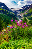 Beautiful Mountain Alp Grüm with Glacier and Alpine Lake Palü in a Cloudy Summer Day in Poschiavo, Bernina, Grisons, Switzerland.