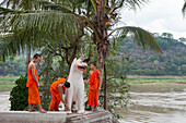 Young novice monks cleaning a Wat Xiengthong Temple's statue by the Nam Khan River, Luang Prabang, Laos, Southeast Asia