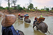 Elefantenritt über den Nam Khan Fluss, Elephant Village, Dorf Ban Xieng Lom, in der Nähe von Luang Prabang, Nordlaos, Laos, Südostasien