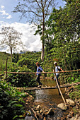 Wanderer auf Brücke aus Baumstämmen, in der Nähe von Nong Khiaw, Provinz Luang Prabang, Nordlaos, Laos, Südostasien