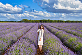 Young girl 30-35 years old, Cultivation of Lavender, Lavender in bloom, Valensole, Alpes-de-Haute-Provence, Provence-Alpes-Côte d'Azur, France, Europe