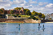 Group of tourists practicing paddle surfing in the Bay of La Concha, SUP, Stand Up Paddle, Palacio Miramar, Donostia, San Sebastian, Basque Country, Spain