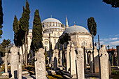 Friedhof mit osmanischen Grabsteinen vor der Süleymaniye-Moschee in Istanbul, Türkei 