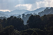 Wald und Berge entlang des Oberen Mekong, in der Nähe von Ban Khok Tuen, Bezirk Pak Tha, Bokeo, Laos, Asien