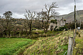  Derelict building and sheep in Teernakill, County Galway, Ireland 