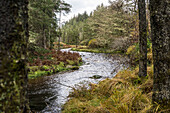  Green Bridge River in Wild Nephin National Park, County Mayo, Ireland 
