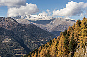 Blick auf die vergletscherten Berge der Adamello-Presanella-Gruppe von der Brenta aus, Provinz Trentino, Italien