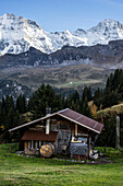  Hut in Mürren. Behind it rise the high three-thousand-meter peaks of the Bernese Alps, Mürren, Bernese Oberland, Switzerland 