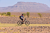 Mountain biker with electric assistance on a trail through the reg, from Agdz to Zagora, Draa River valley, Province of Zagora, Region Draa-Tafilalet, Morocco, North West Africa