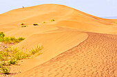 Sand dunes at Tinfou, near Tamegroute, Draa River valley, Province of Zagora, Region Draa-Tafilalet, Morocco, North West Africa