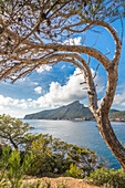 Blick von Sant Elm auf Sa Dragonera, Sant Elm, Mallorca, Balearen, Spanien