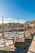 Traditional Mallorcan boats in the harbor of Port de Soller, Mallorca, Balearic Islands, Spain 