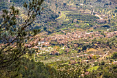 Blick auf das Bergdorf Fornalutx, Serra de Tramuntana, Mallorca, Balearen, Spanien