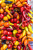  Colorful pepperoni in a grocery store in the old town of Palma de Mallorca, Mallorca, Balearic Islands, Spain 
