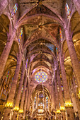  La Seu Cathedral in Palma de Mallorca with Christmas decorations, Mallorca, Balearic Islands, Spain 