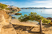 Strand an der Calo de ses Llisses, Cala Fornells, Mallorca, Balearen, Spanien