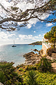 Segelboot in der Bucht Platja des Geperut, Sant Elm, Mallorca, Balearen, Spanien
