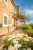 Schöne Häuser in der Altstadt von Bunyola, Mallorca, Balearen, Spanien